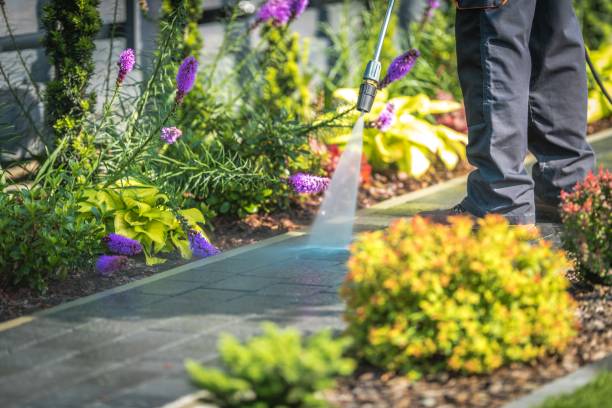  Planada, CA Pressure Washing Pros