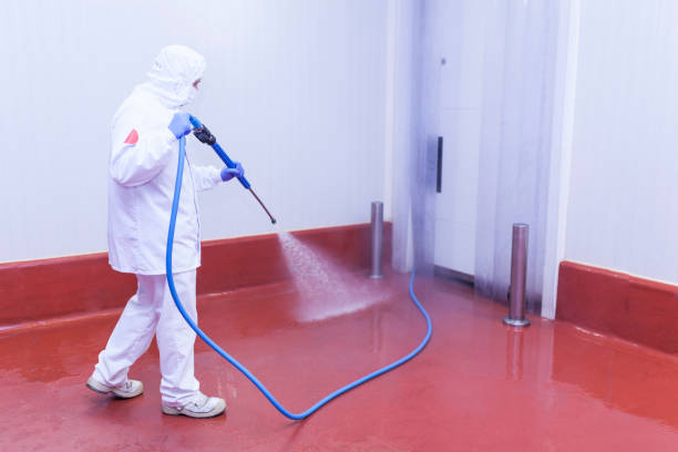 Best Driveway Pressure Washing  in Planada, CA